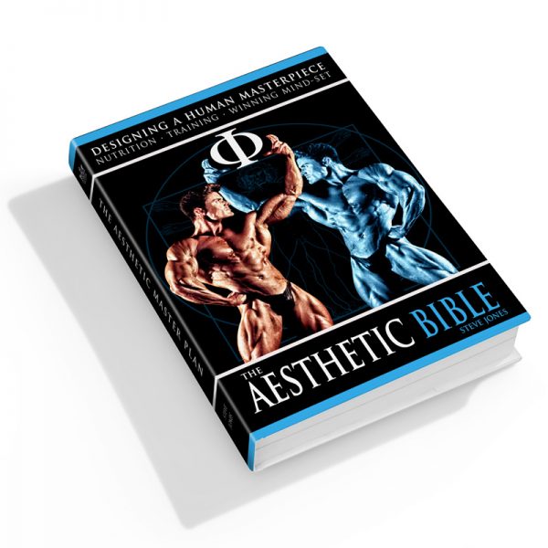 The Aesthetic Bible by Steve Jones