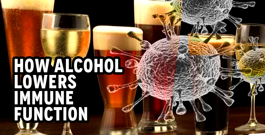 How alcohol lowers your immune system