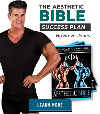 The Aesthetic Bible by Steve Jones